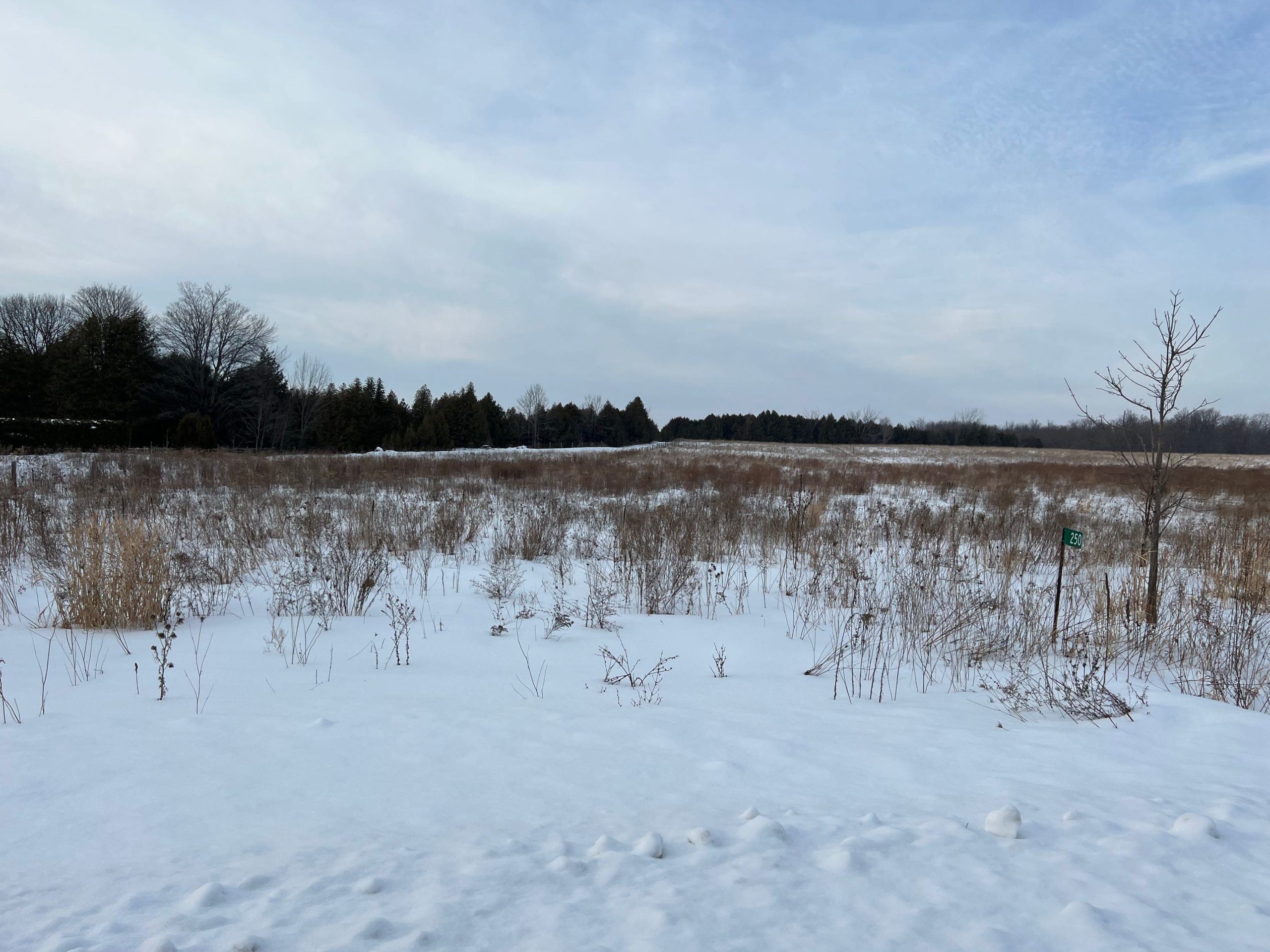 250 Ridge Road West, Oro-Medonte